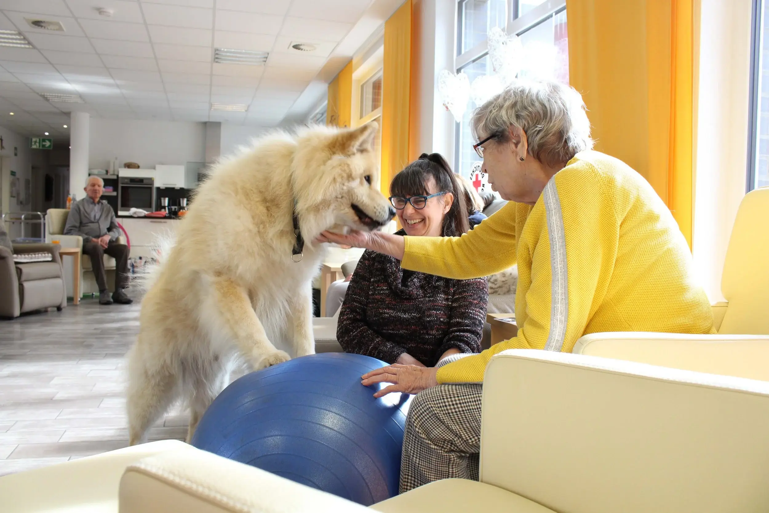 Therapiehund zu Besuch in der DRK Tagespflege